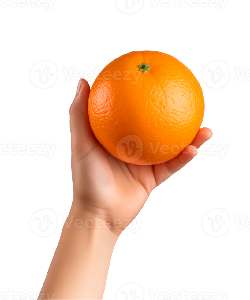 AI generated a hand-holding orange fruit isolated on a transparent background, PNG