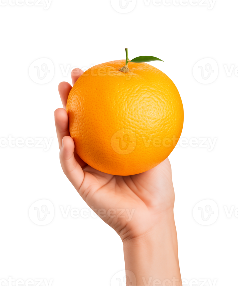 AI generated a hand-holding orange fruit isolated on a transparent background, PNG