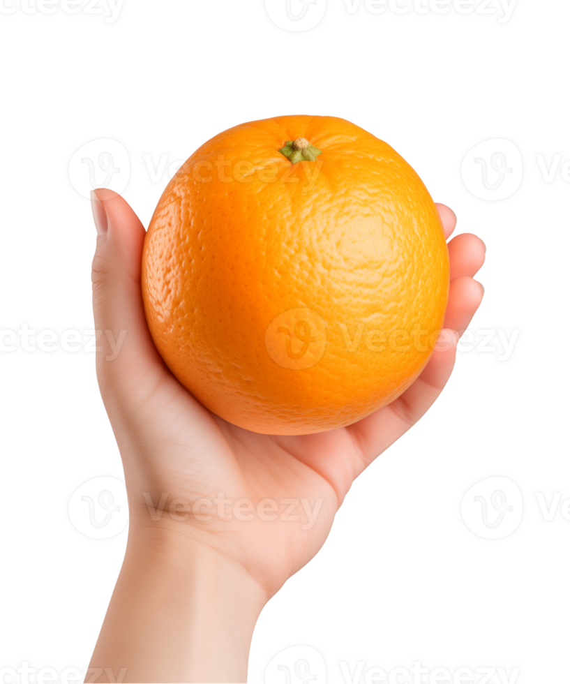 AI generated a hand-holding orange fruit isolated on a transparent background, PNG