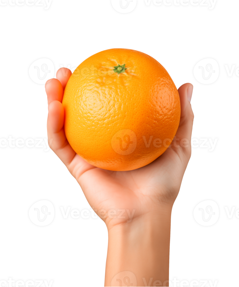 AI generated a hand-holding orange fruit isolated on a transparent background, PNG