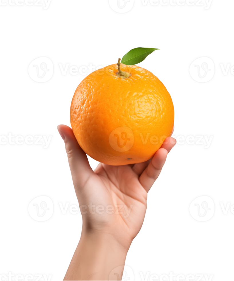 AI generated a hand-holding orange fruit isolated on a transparent background, PNG