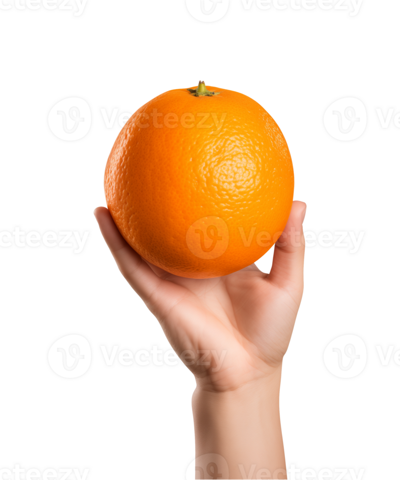AI generated a hand-holding orange fruit isolated on a transparent background, PNG