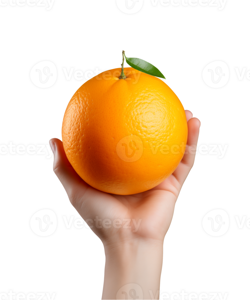 AI generated a hand-holding orange fruit isolated on a transparent background, PNG