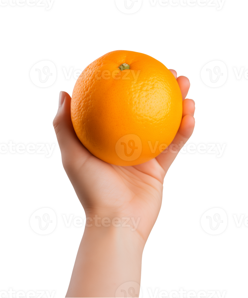 AI generated a hand-holding orange fruit isolated on a transparent background, PNG