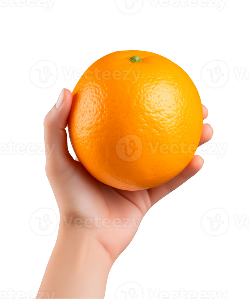 AI generated a hand-holding orange fruit isolated on a transparent background, PNG