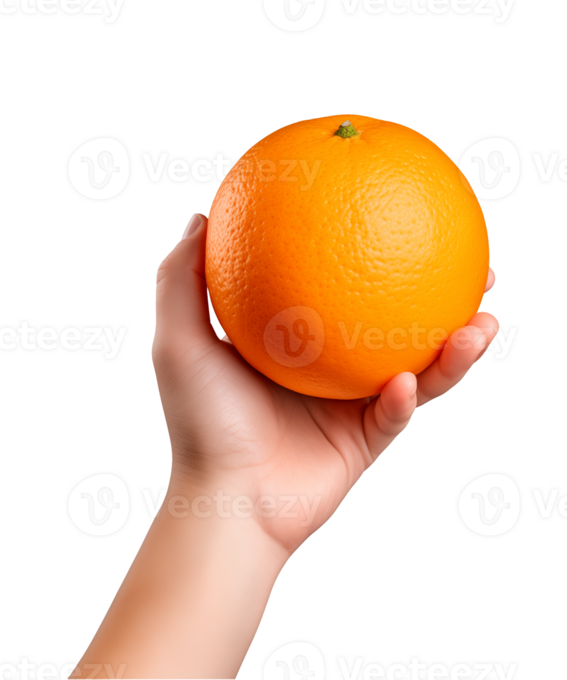 AI generated a hand-holding orange fruit isolated on a transparent background, PNG