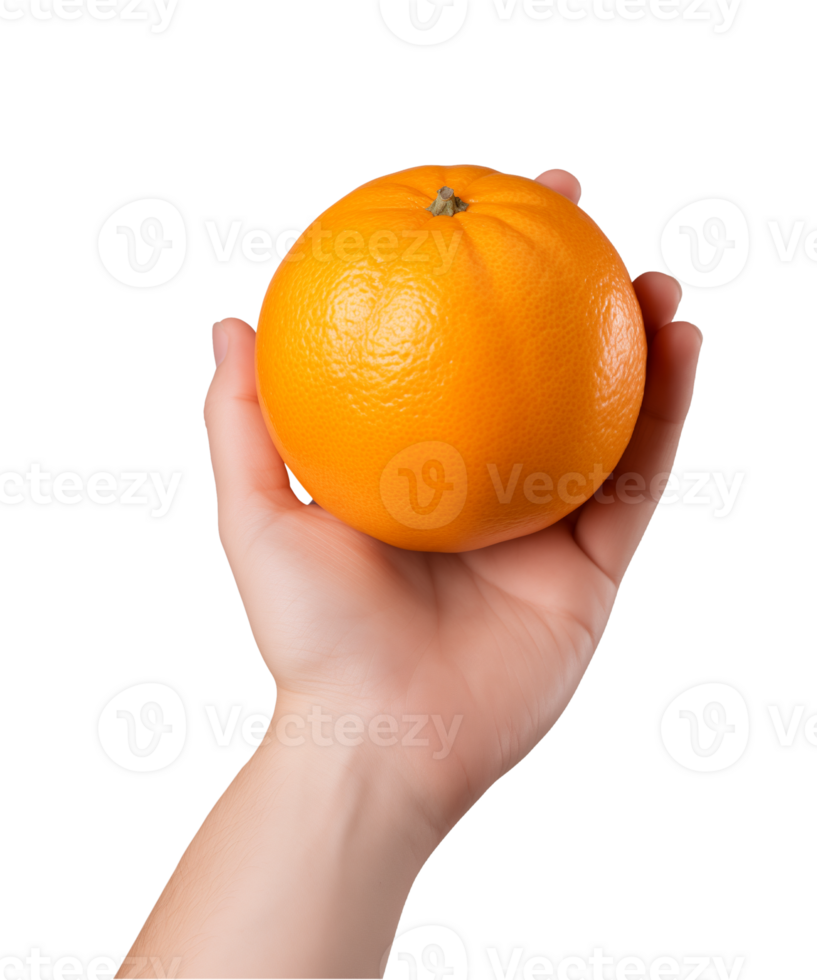 AI generated a hand-holding orange fruit isolated on a transparent background, PNG