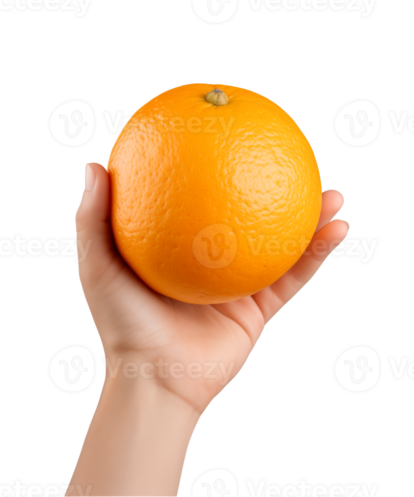AI generated a hand-holding orange fruit isolated on a transparent background, PNG