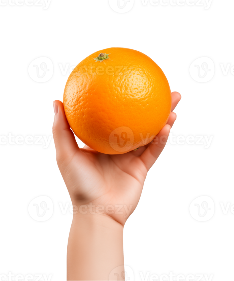 AI generated a hand-holding orange fruit isolated on a transparent background, PNG