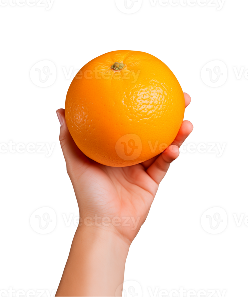 AI generated a hand-holding orange fruit isolated on a transparent background, PNG