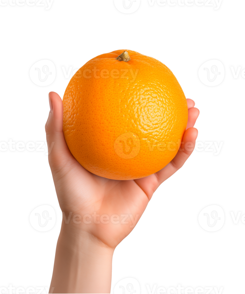 AI generated a hand-holding orange fruit isolated on a transparent background, PNG