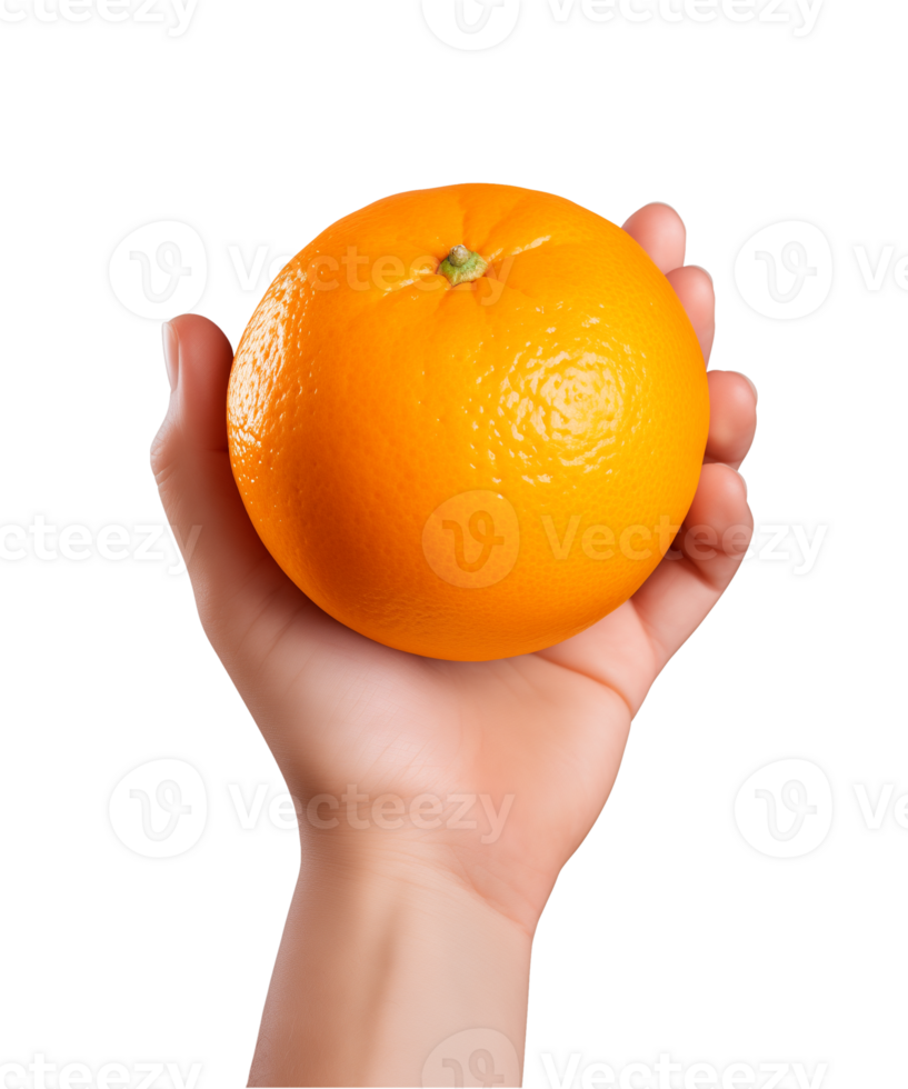 AI generated a hand-holding orange fruit isolated on a transparent background, PNG
