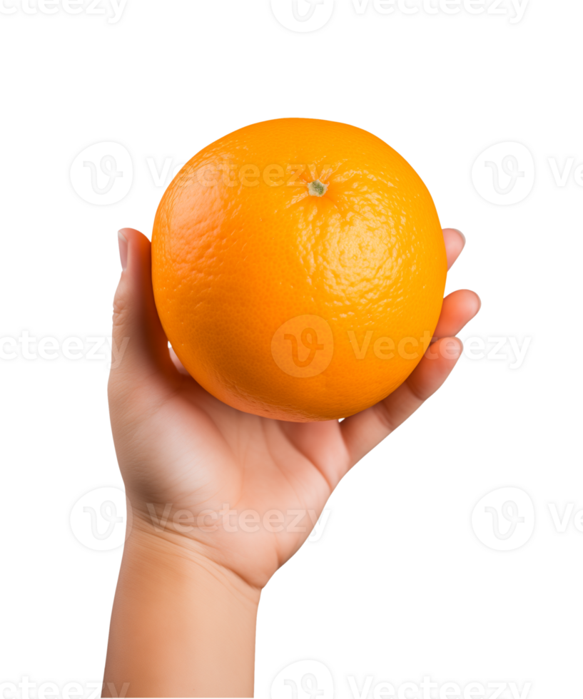AI generated a hand-holding orange fruit isolated on a transparent background, PNG