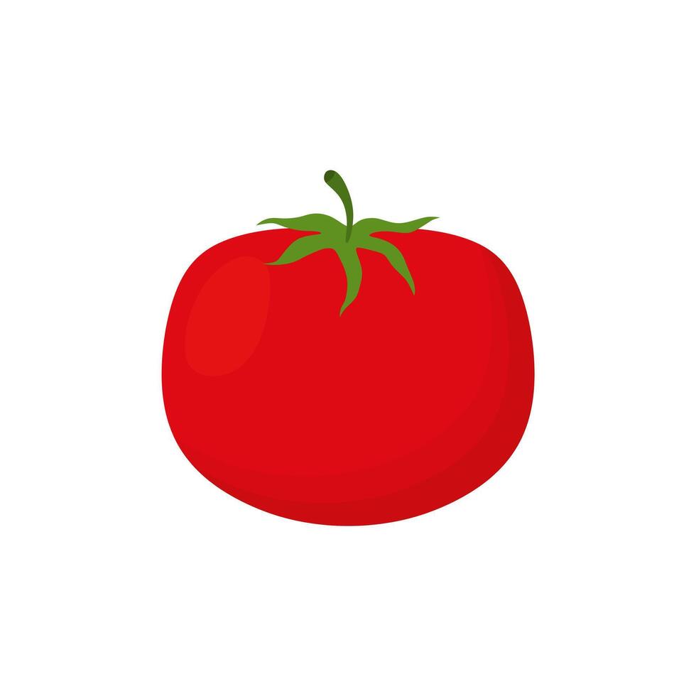 Tomato isolated single simple cartoon illustration. vegetable organic eco bio product from the farm vector illustration. Tomato flat design object for vegetarian design