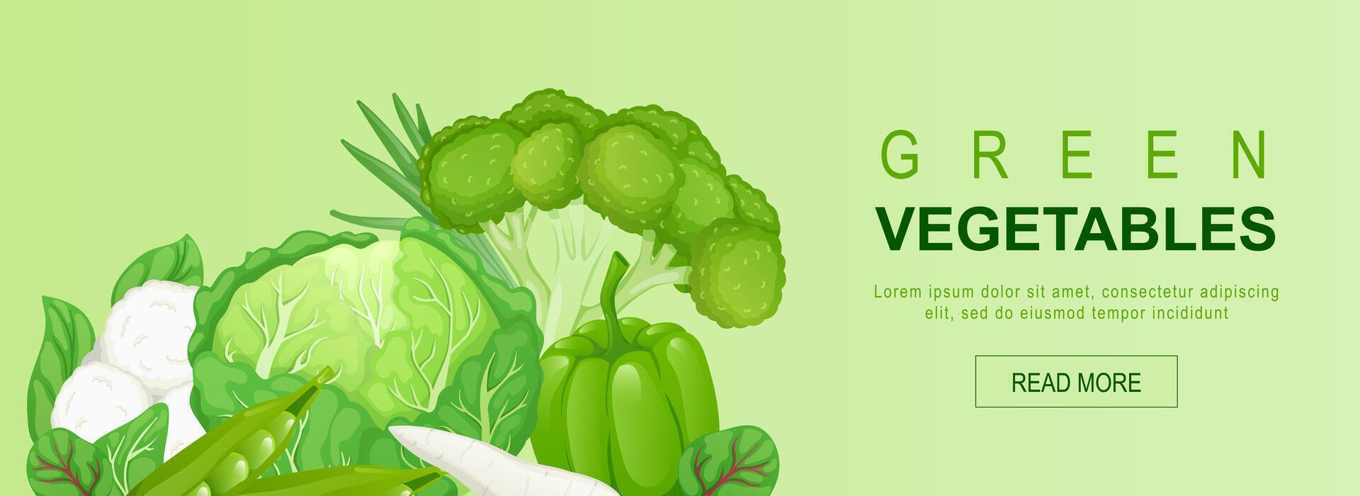 Green vegetables horizontal web banner. Cabbage, peas, broccoli, bell, pepper, spinach, cauliflower, greens, other vegetables. Vector illustration for header website, cover templates in modern design