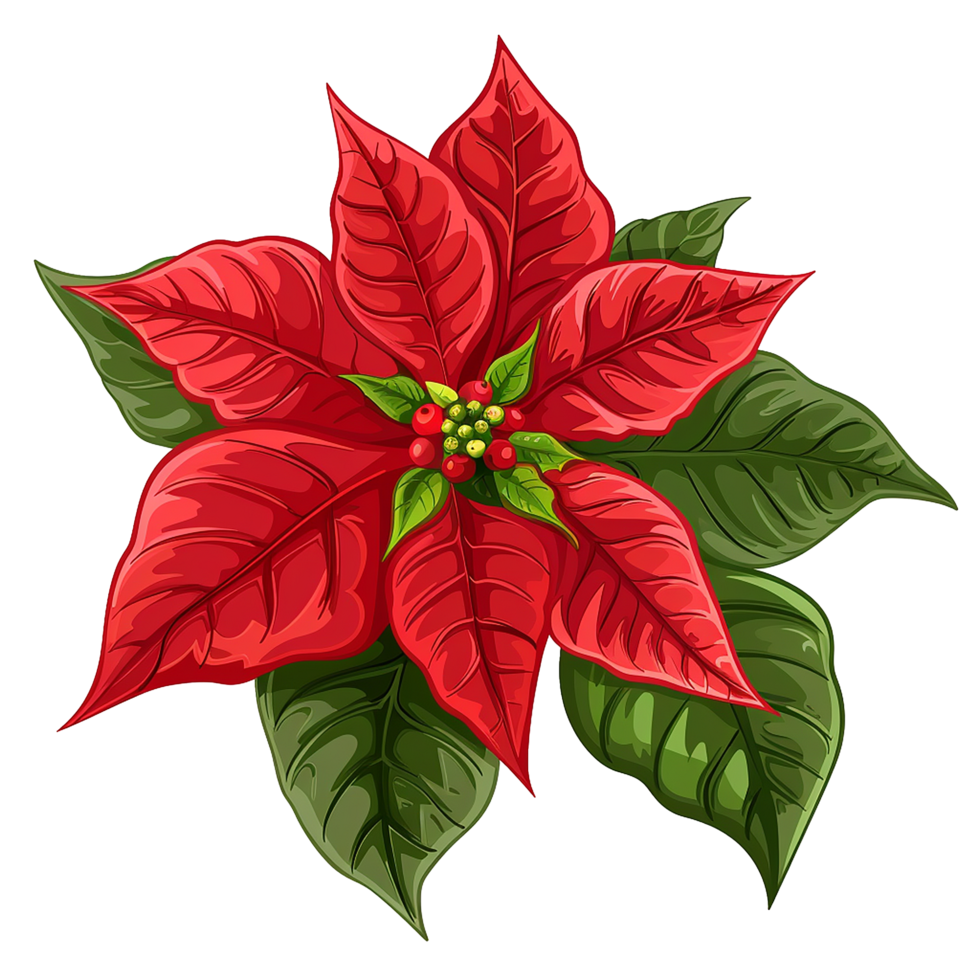 AI generated Poinsettia flower png isolated on transparent background