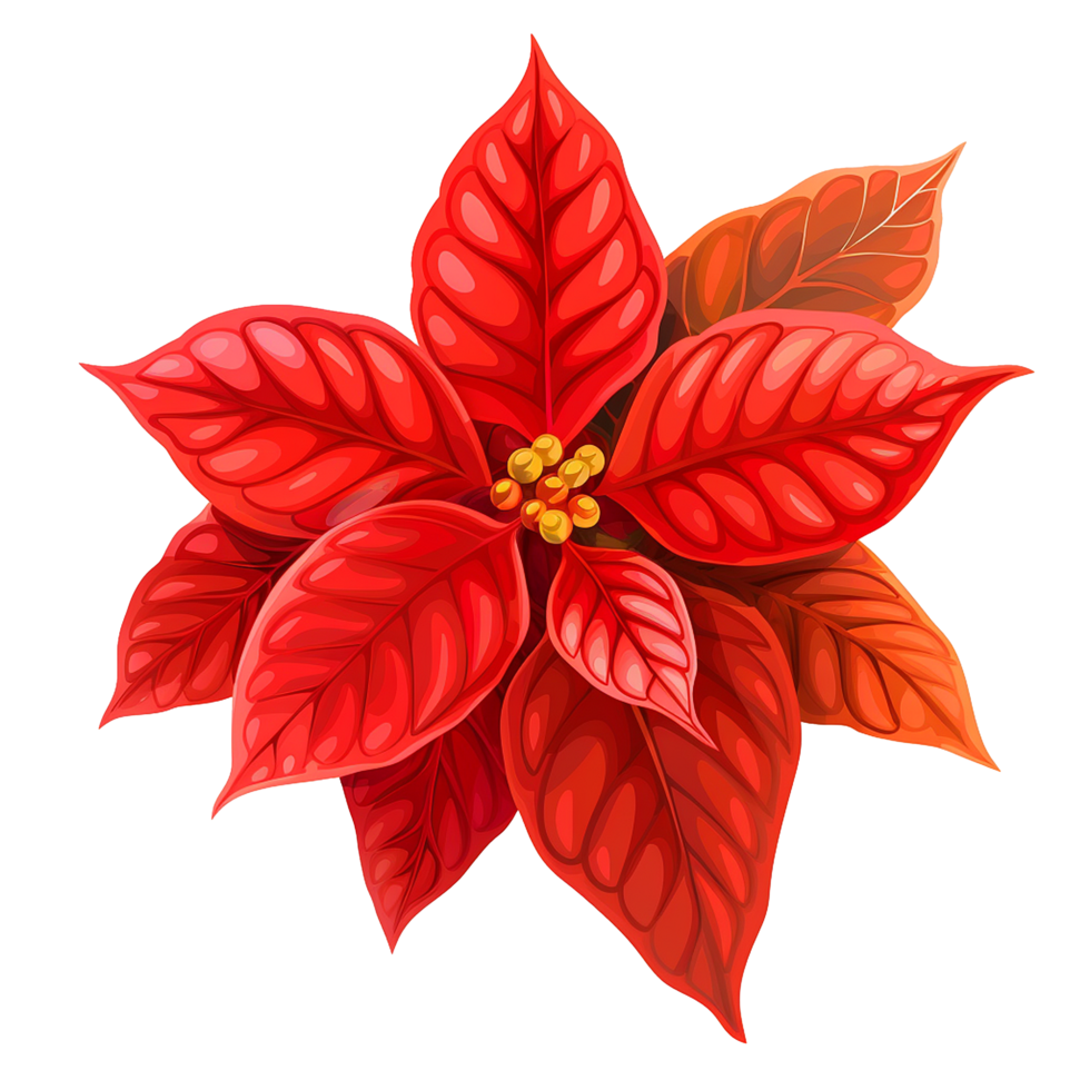 AI generated Poinsettia flower png isolated on transparent background