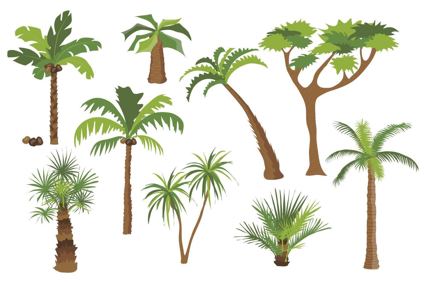 palma arboles conjunto gráfico elementos en plano diseño. haz de diferente tipos de palma arboles con cocos y arbustos con verde corona de hojas, bañador y sucursales. vector ilustración aislado objetos