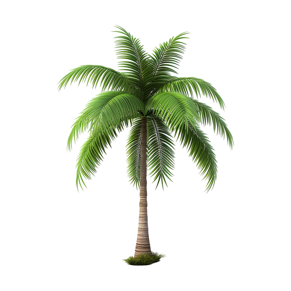 AI generated Palm tree isolated on transparent background png