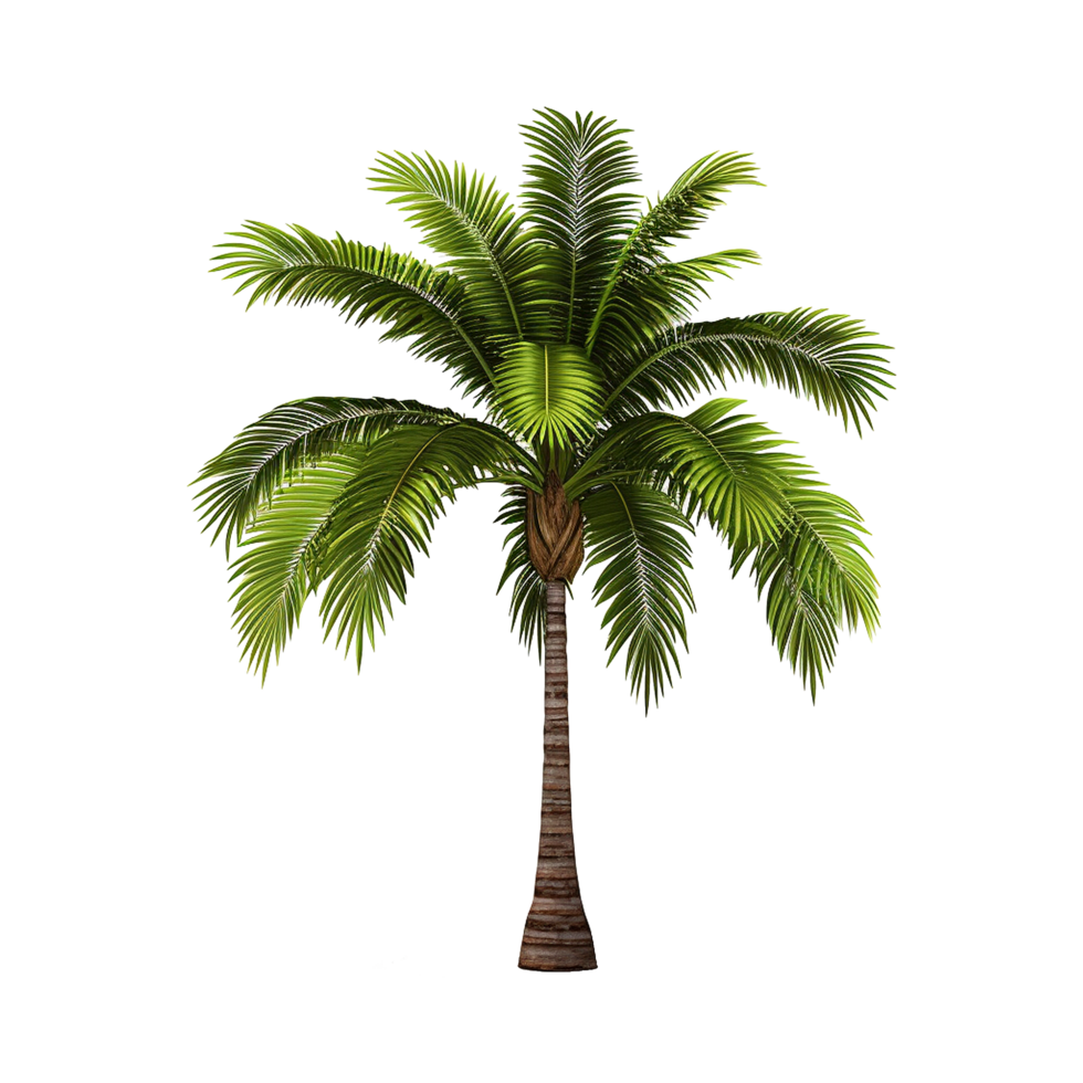 AI generated Palm tree isolated on transparent background png