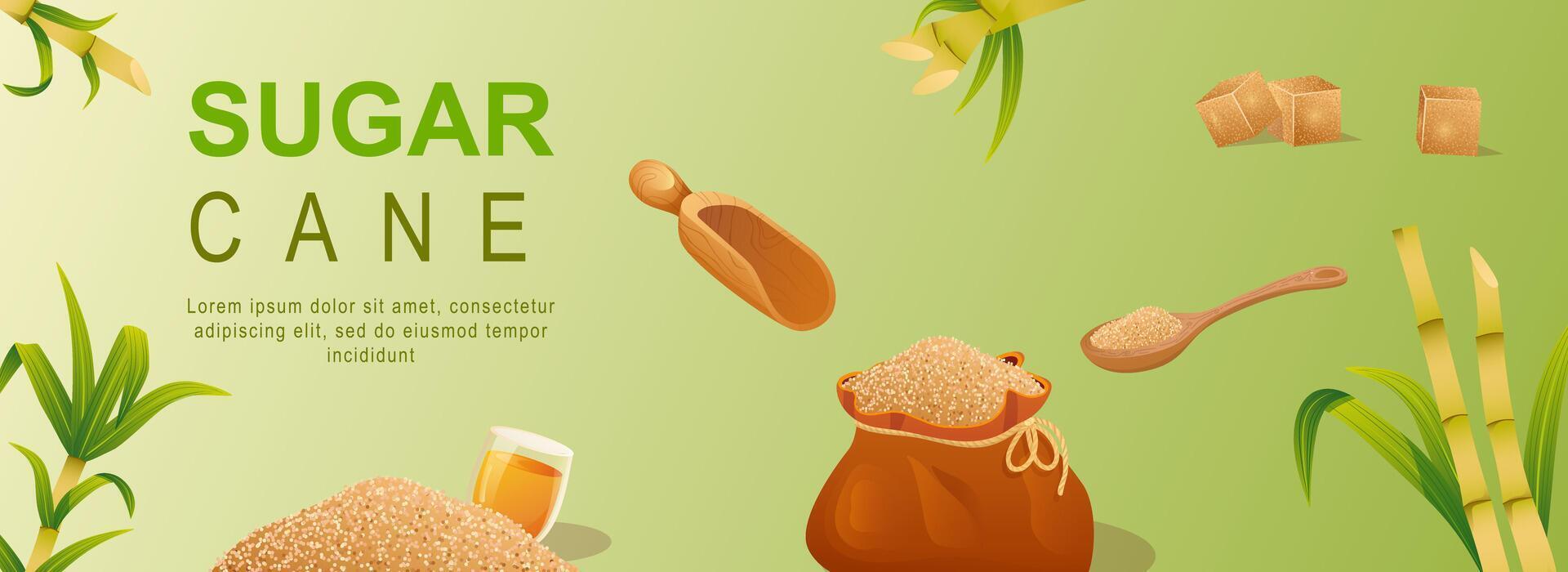 Sugar cane horizontal web banner. Brown granulated sugar in bag or spoon, cubes, stems and leaf, organic natural sweet food. Vector illustration for header website, cover templates in modern design