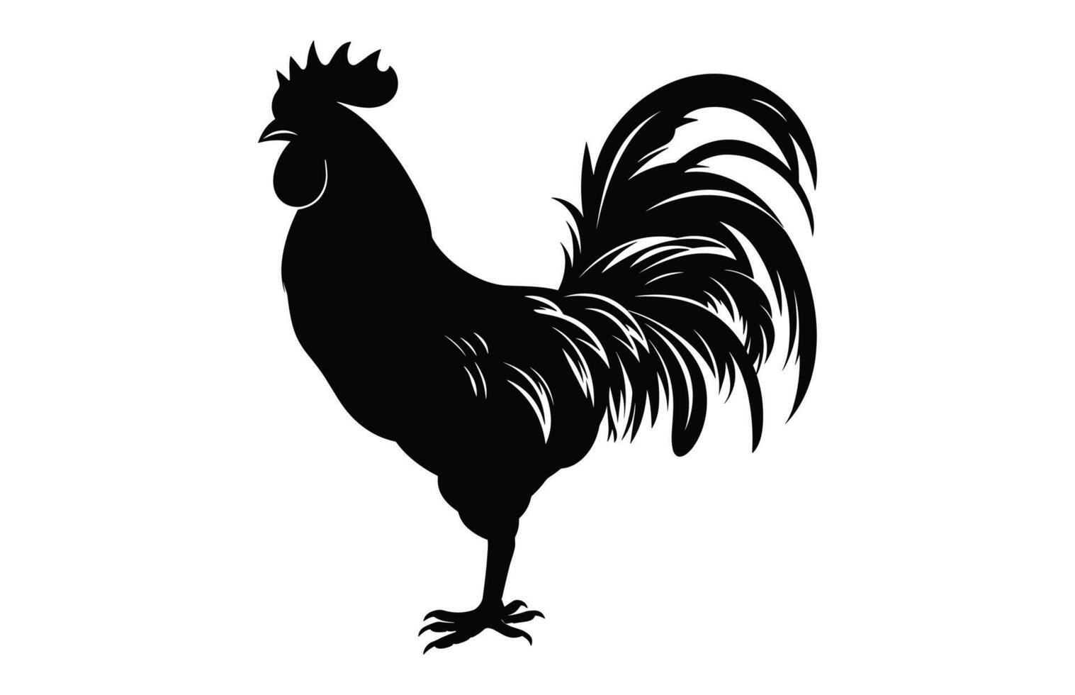 gallo silueta aislado en un blanco fondo, polla gallo negro vector