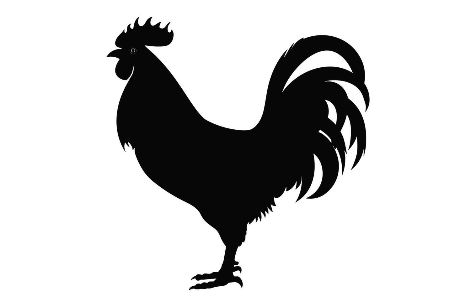 gallo negro silueta vector, polla gallo clipart aislado en un blanco antecedentes vector