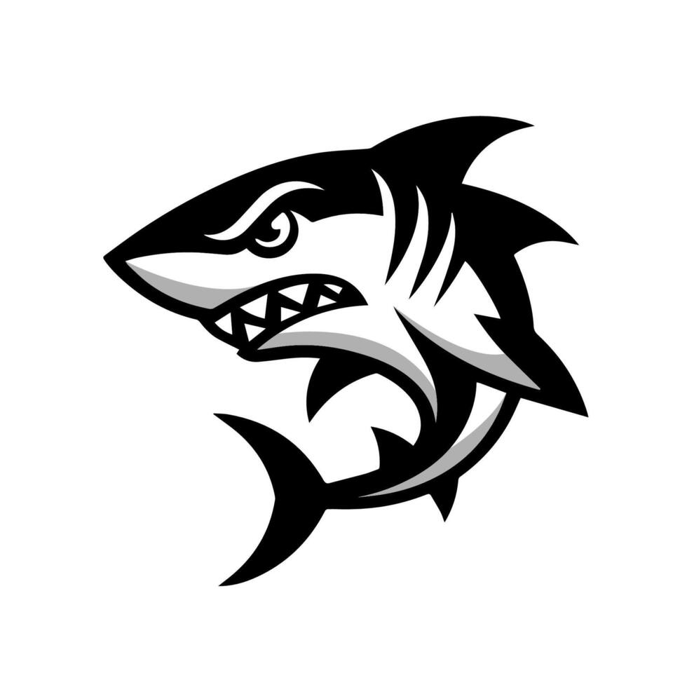 Shark  logo Illustration vector