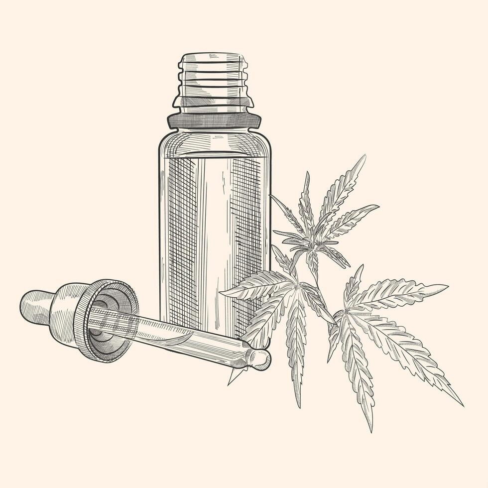 Vector hand drawn hand drawn bottle with pipette for hemp oil. Isolated on white background