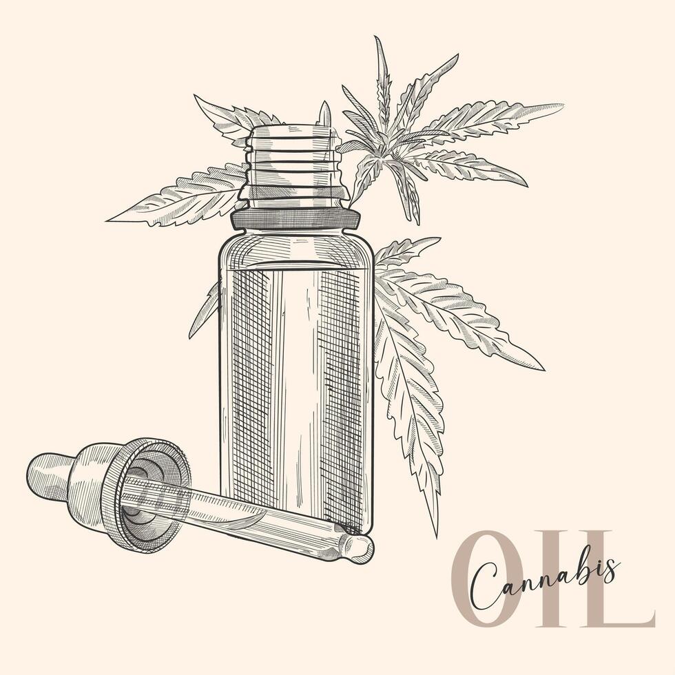 Hand drawn composition of bottle, dropper and marijuana leaf. Isolated sketch of marijuana. Vector art.