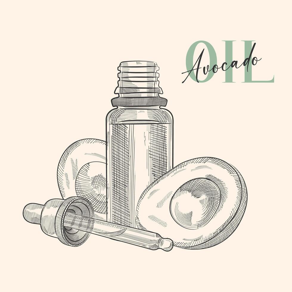 Glass bottle with dropper black contour graphic pattern. Cosmetic vegan contour line products avocado oil. Vector EPS 10