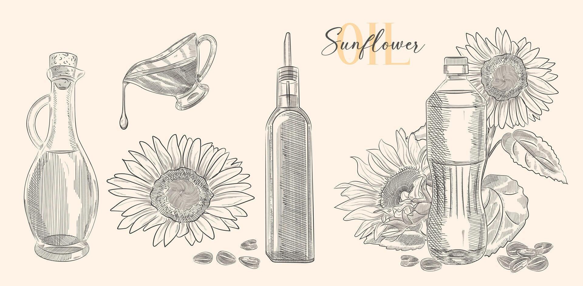 botella de girasol petróleo con flor y montón de semilla. vector mano dibujado ilustración. vaso lanzador Clásico grabado aislado en blanco antecedentes. genial para menú, bandera, etiqueta, logo, volantes