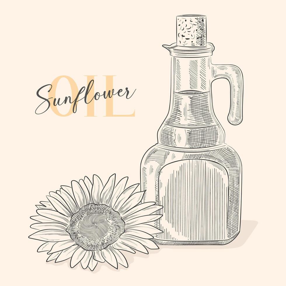 Vector outline. Still life with sunflower oil in glass carafe and sunflower flower,