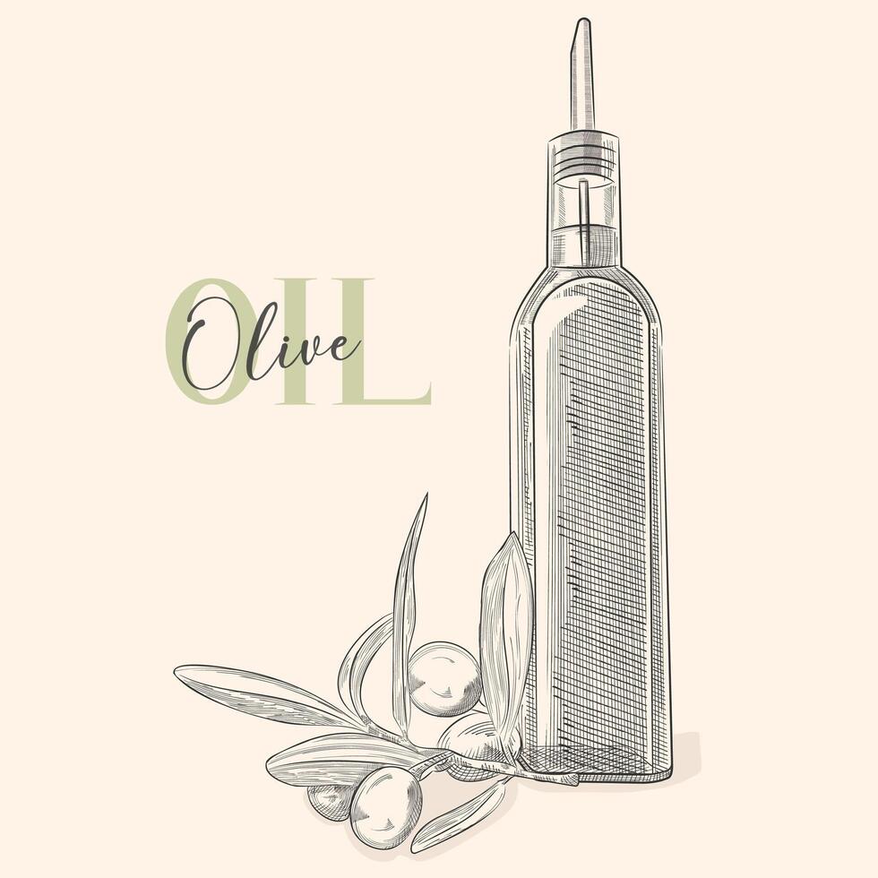 Vector outline. Still life of olive oil in a glass jar and sprigs of fresh olives,
