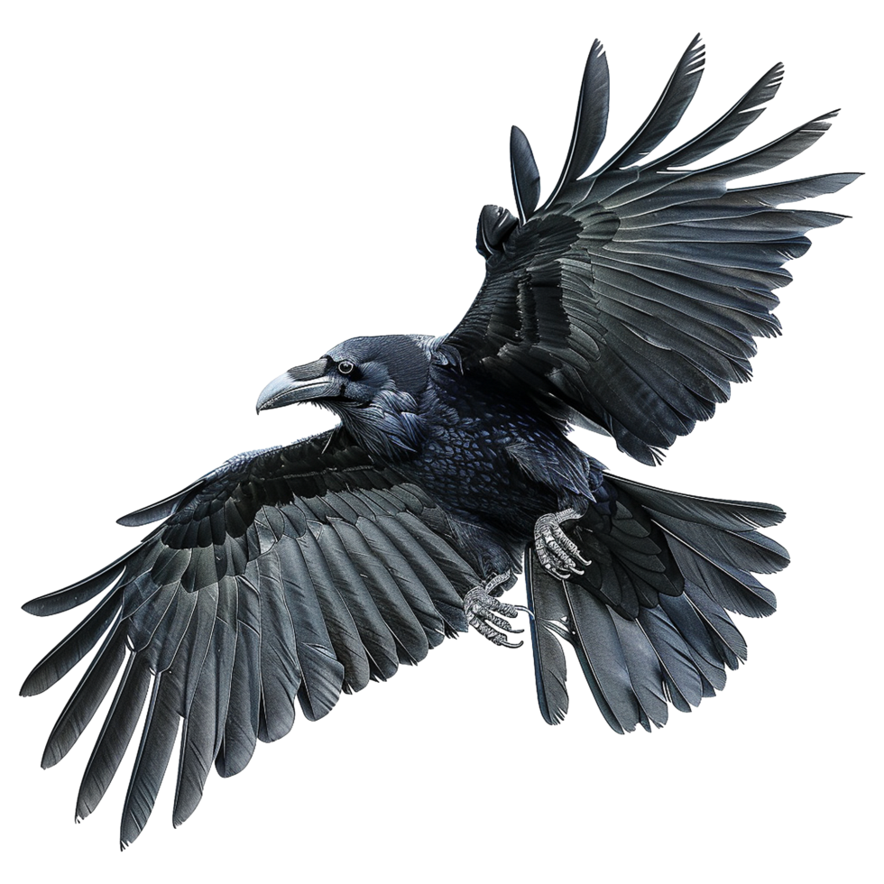 AI generated Flying Raven isolated on transparent background png