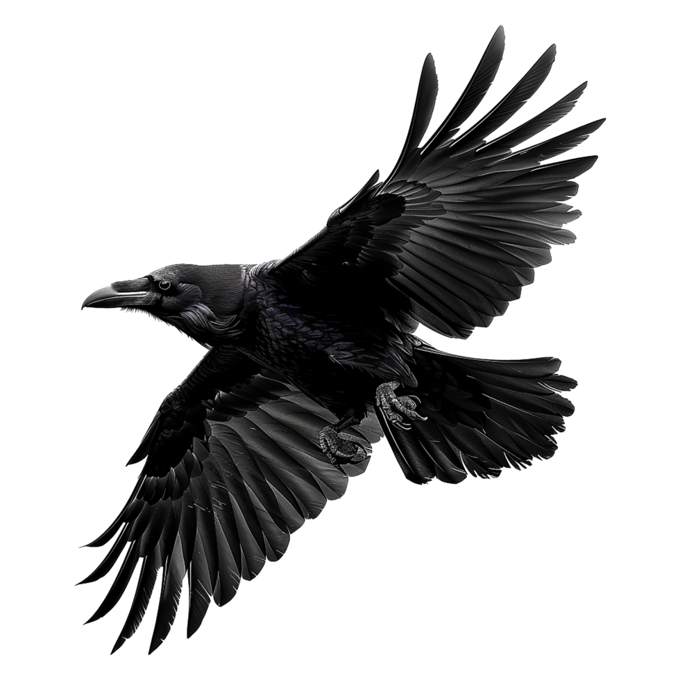 AI generated Flying Raven isolated on transparent background png
