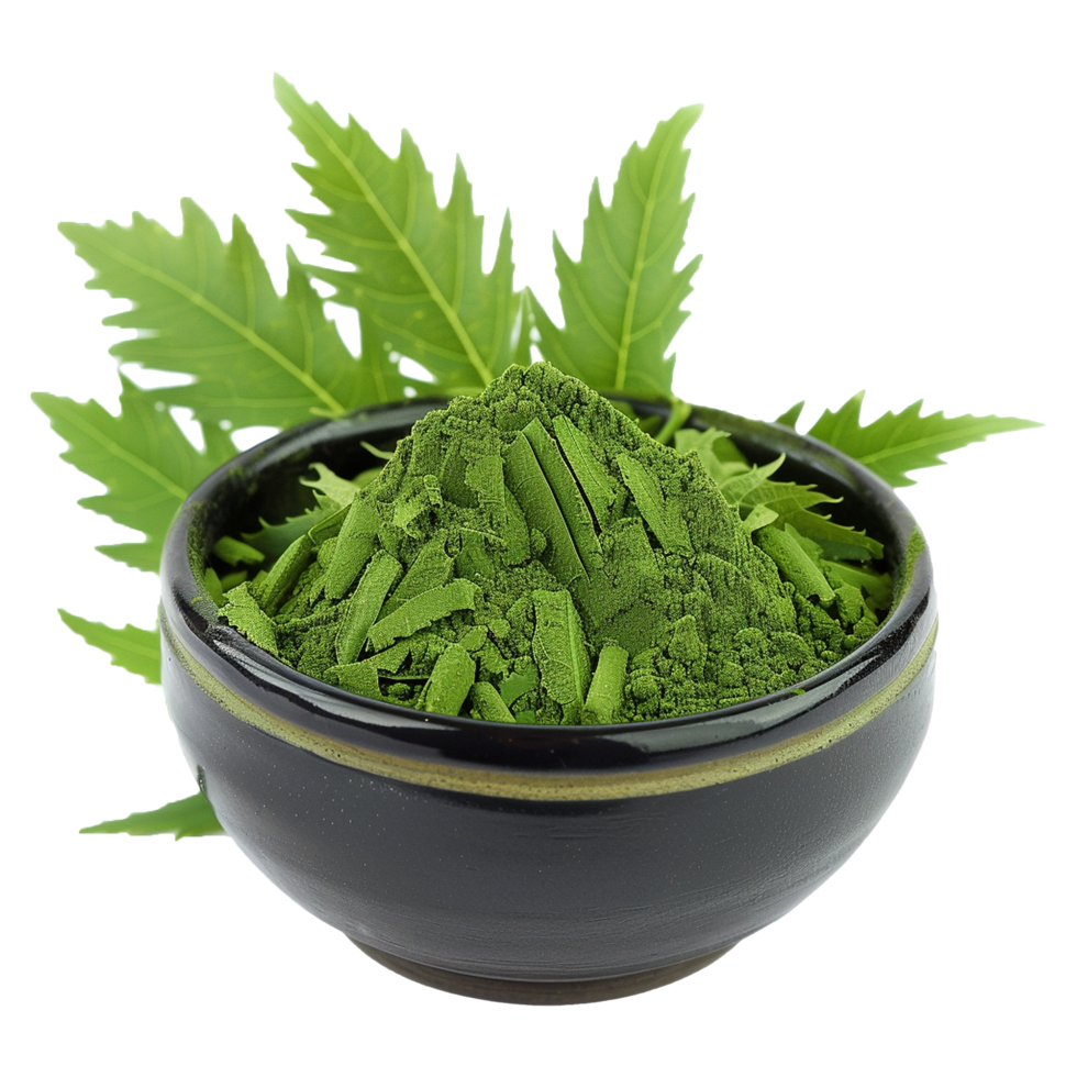 AI generated Neem leaves powder in black bowl isolated on transparent background png