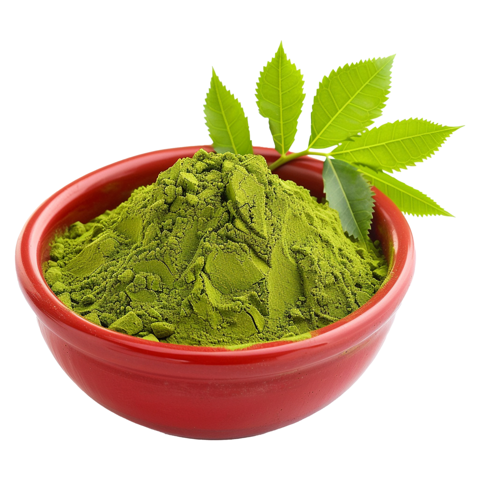 AI generated Neem leaves powder in red bowl isolated on transparent background png