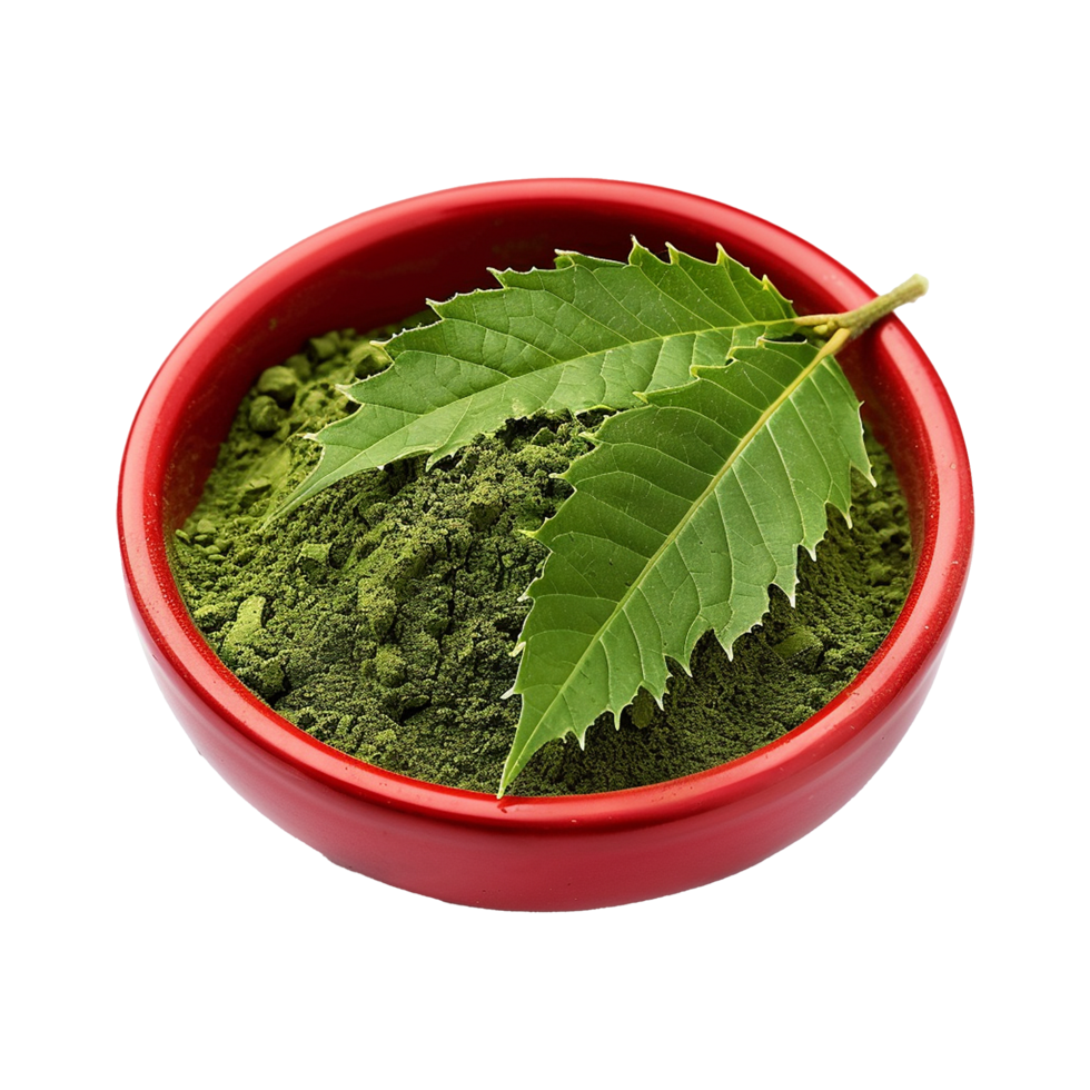 AI generated Neem leaves powder in red bowl isolated on transparent background png