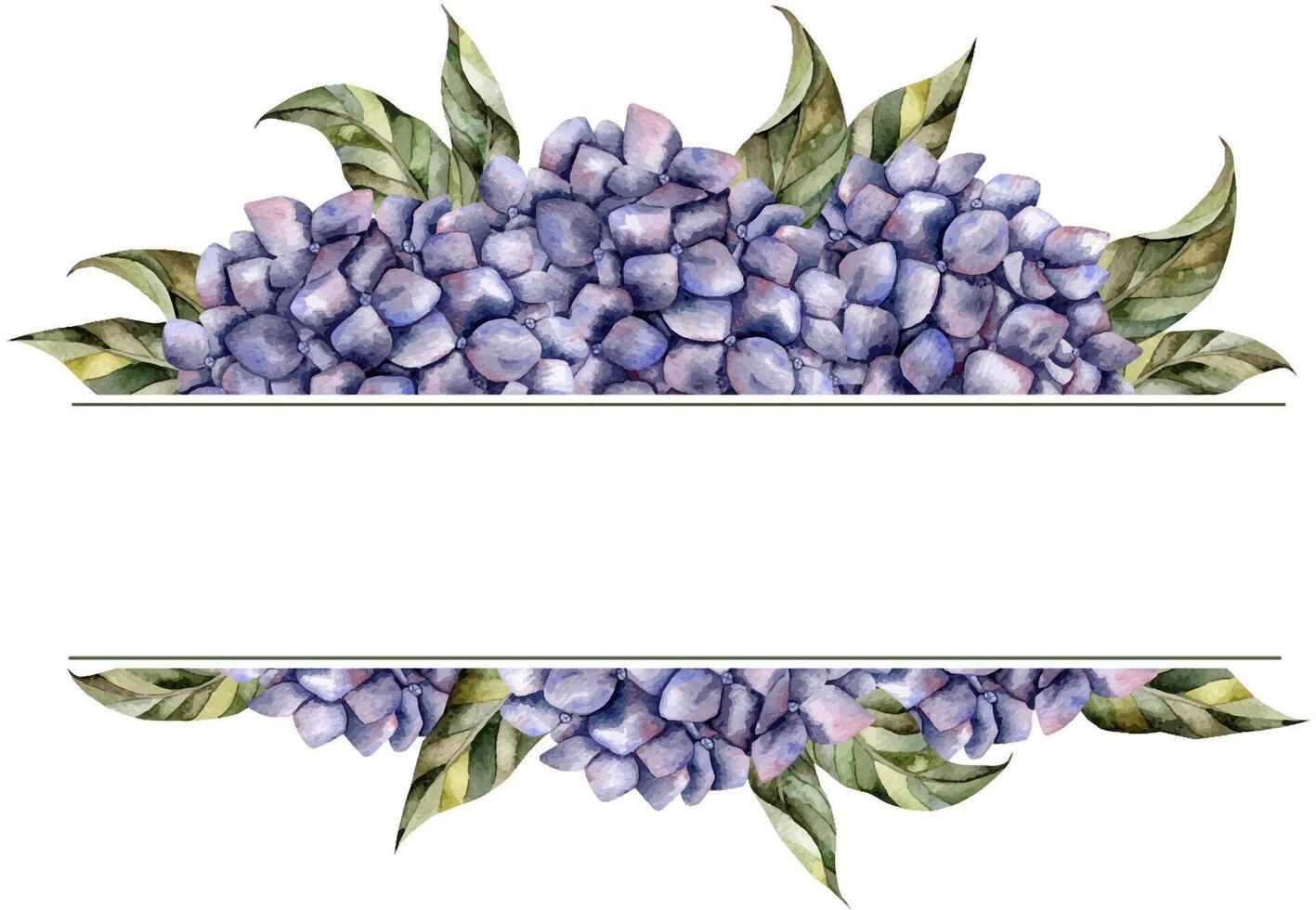 Hand-drawn watercolor frame with hydrangea vector