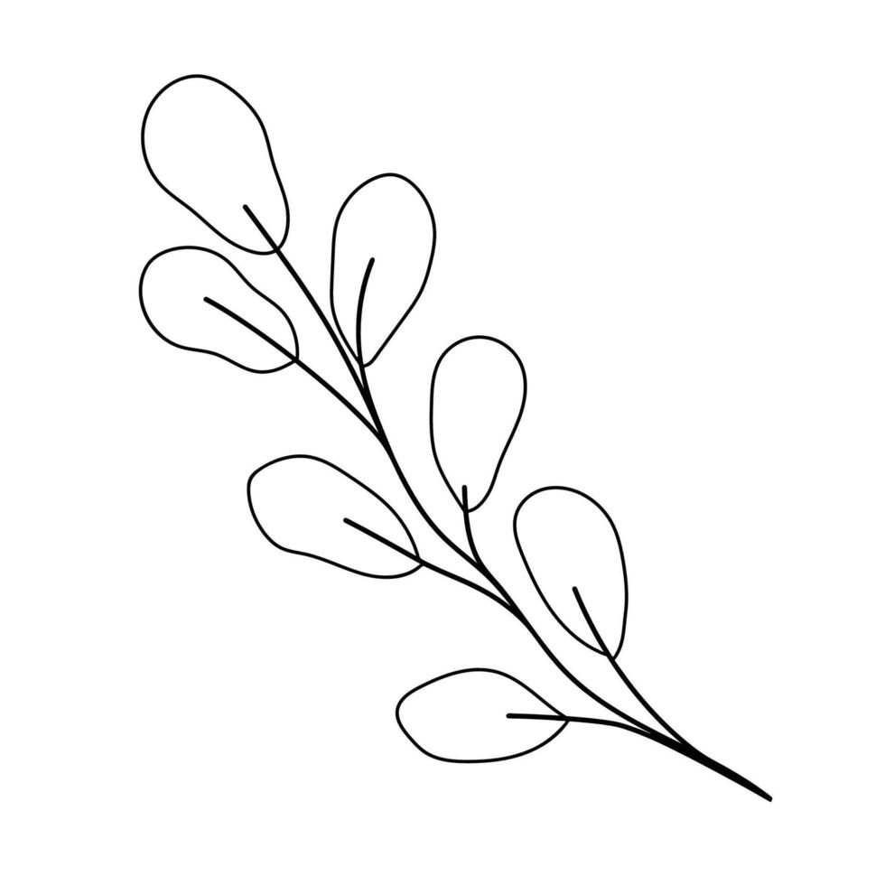 Hand sketched floral design element. Vector illustration for labels, branding business identity, wedding invitations