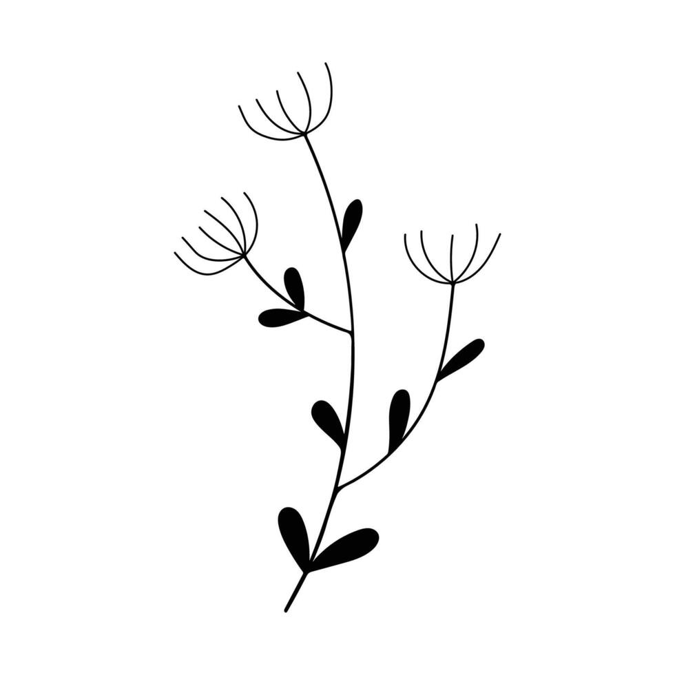 black silhouette of a plant, isolated on a white background vector