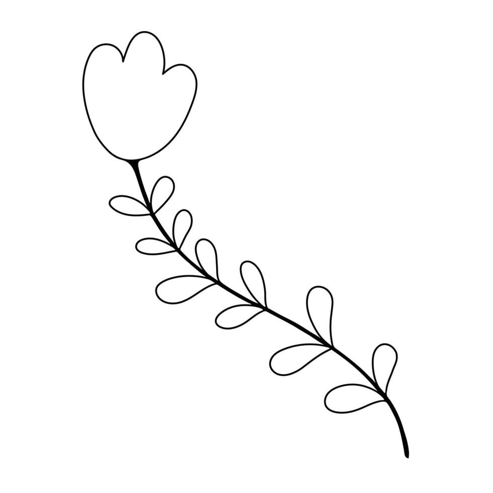Hand sketched floral design element vector
