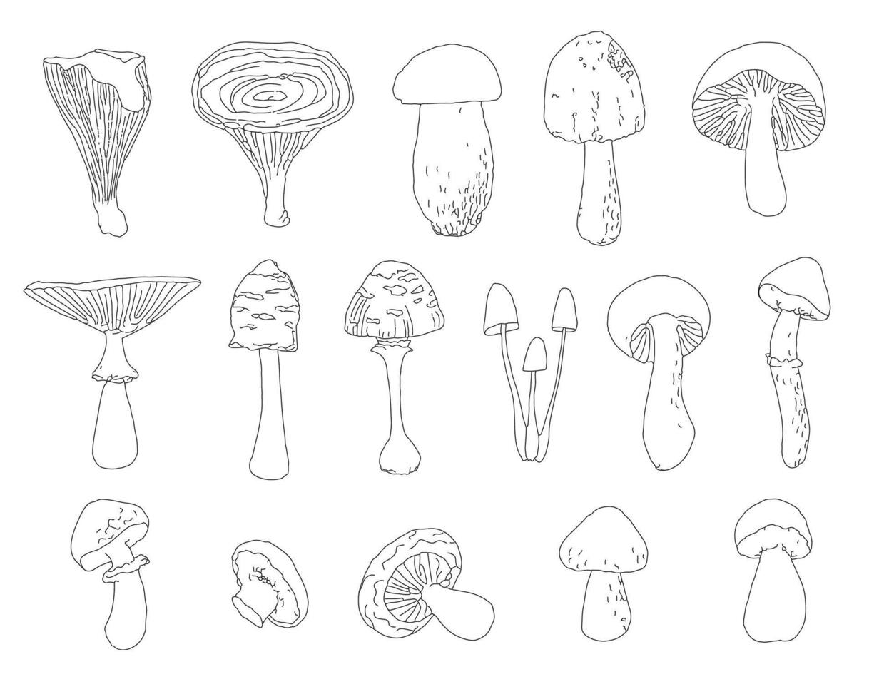 mushroom doodle icon, Collection of stylized or psychedelic mushrooms. vector