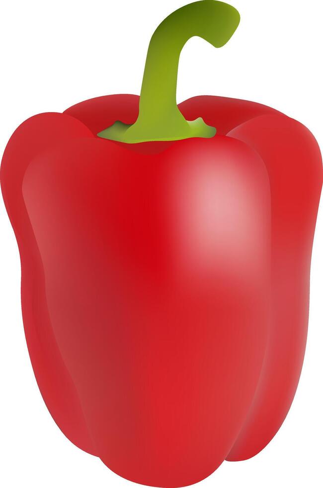 a red pepper with a green stem realistic vector illustration