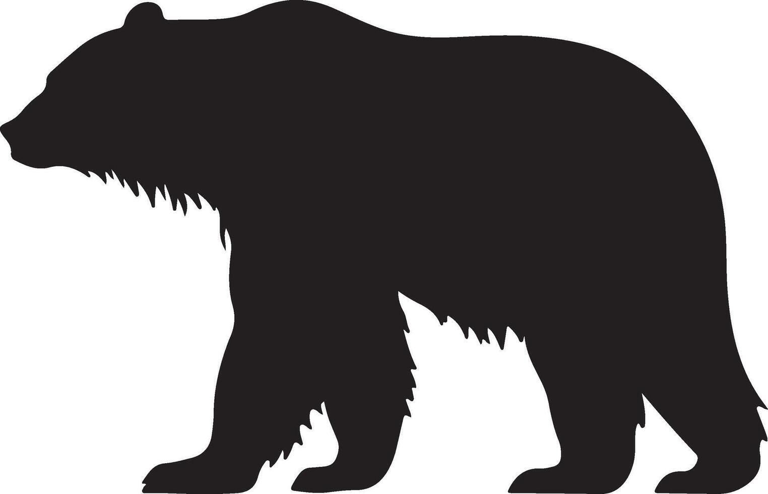 polar oso silueta vector ilustración blanco antecedentes