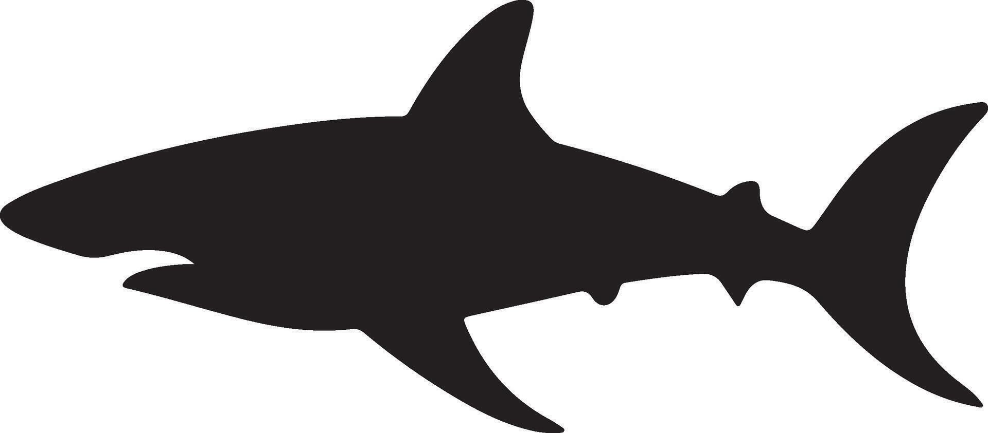 Shark Silhouette Vector Illustration White Background