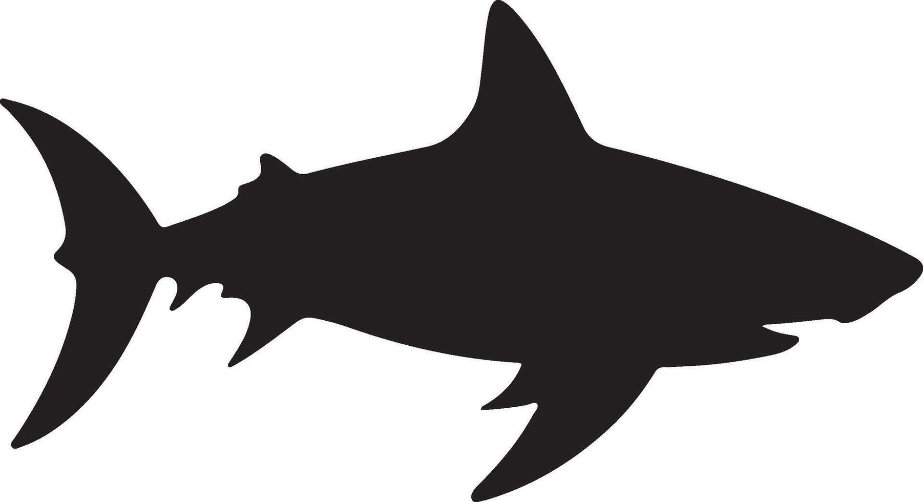 Shark Silhouette Vector Illustration White Background