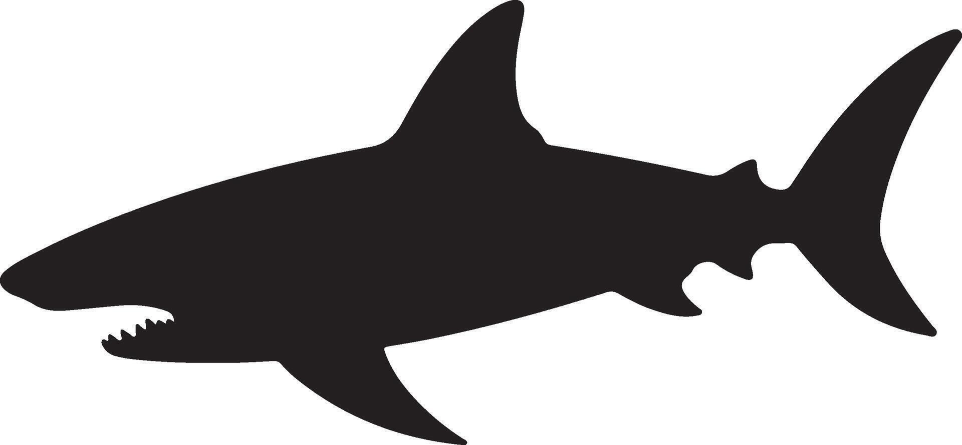 Shark Silhouette Vector Illustration White Background