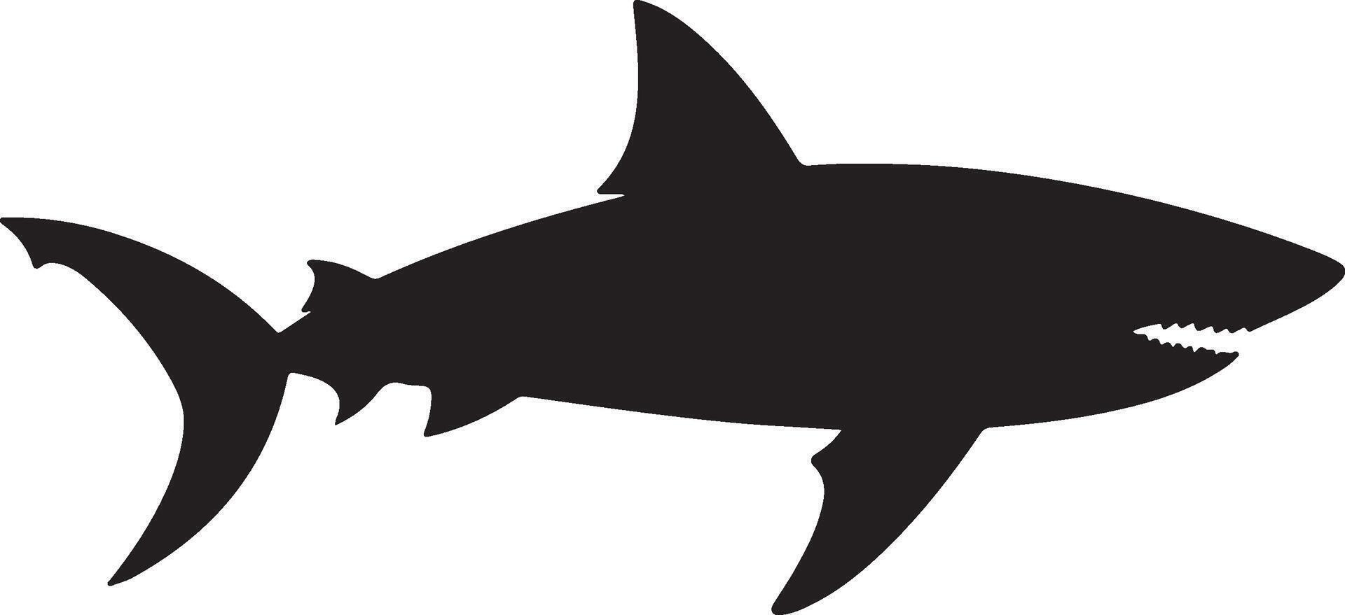 Shark Silhouette Vector Illustration White Background